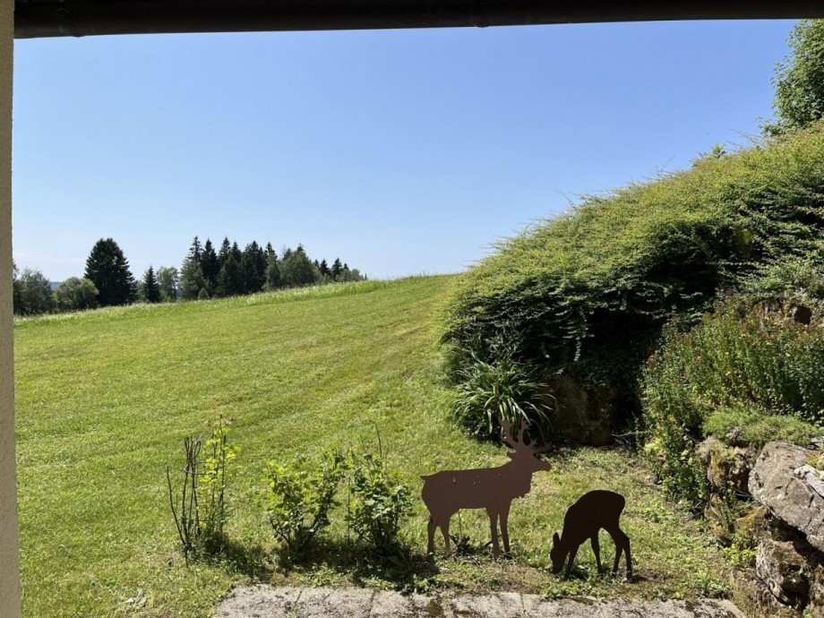 Ausblick aus dem Schlafzimmer Wohnung Freudenstadt