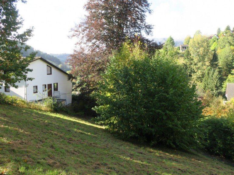 Blick von oben 1 Alpirsbach Wohngrundst�ck �ber den D�chern von Alpirsbach