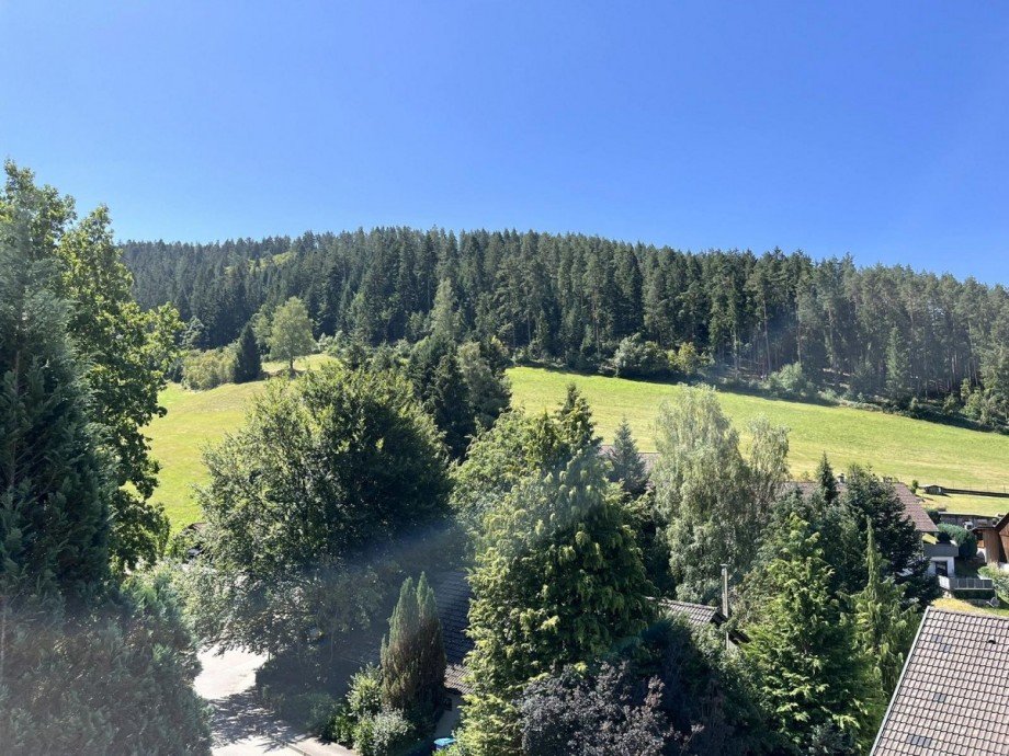 Aussicht Wohnung Baiersbronn