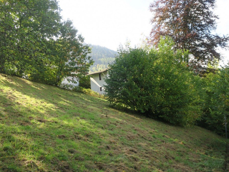 Nordwestliche Ecke Wohngrundst�ck Alpirsbach