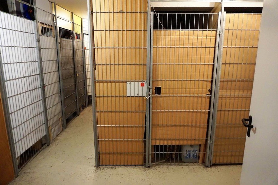 Keller Etagenwohnung Dornstetten