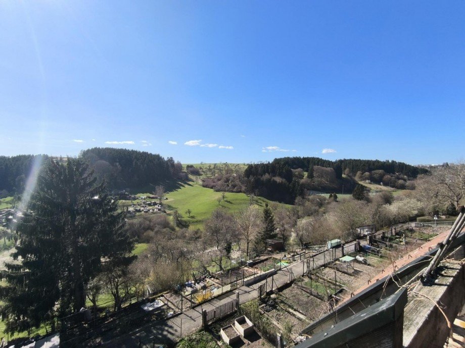 Aussicht Reihenendhaus Dornstetten