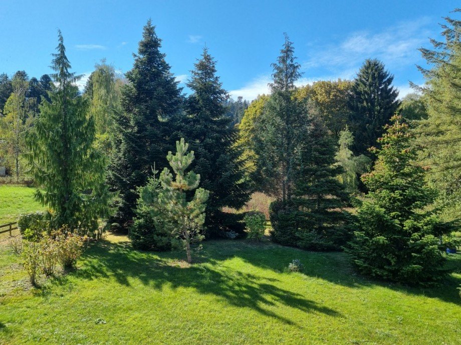 Blick vom OG auf den Garten Einfamilienhaus Freudenstadt
