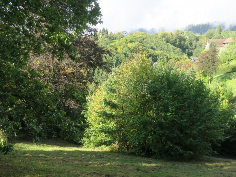 Blick von oben2 Wohngrundst�ck Alpirsbach