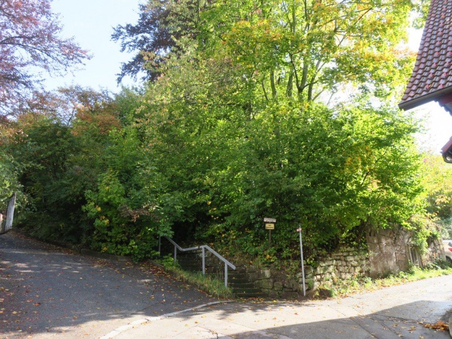 Stra�enansicht 1 Wohngrundst�ck Alpirsbach