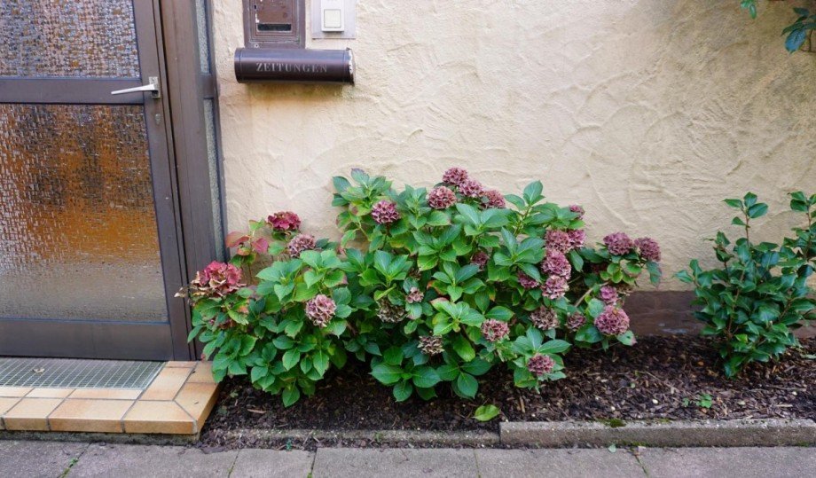 Herbsttimmung Doppelhaush�lfte Freudenstadt